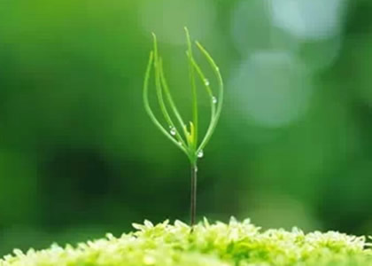 11.2018年4月国贸公司召开第一季度工作会议